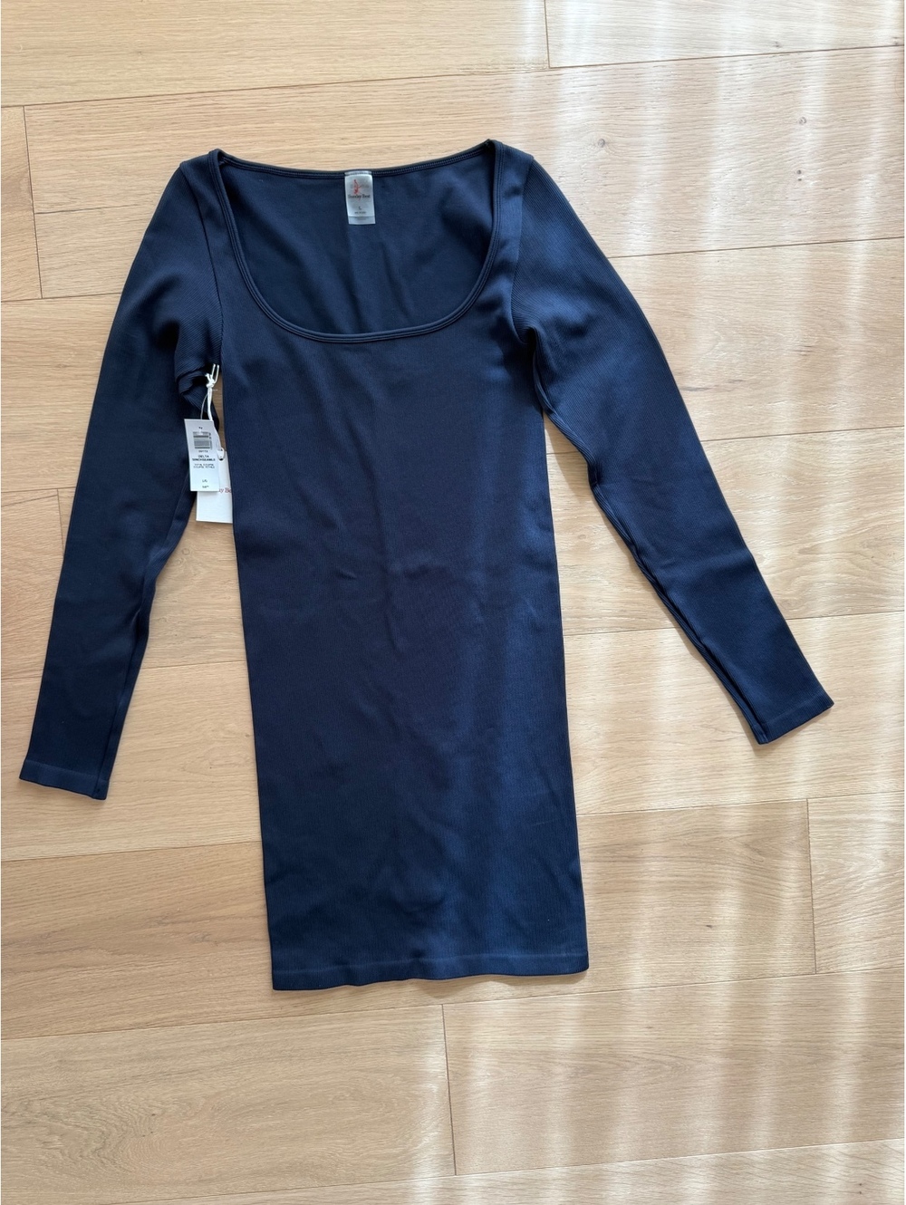 NWT Sunday Best Aritzia Delta SinchSeamless Dress in Total Eclipse, size Large